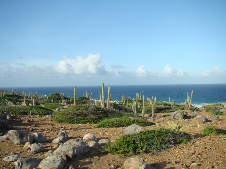 2007 10-Aruba Desert Beach.jpg